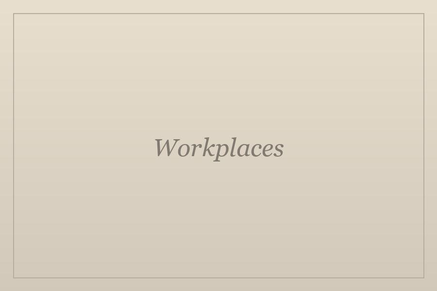 In-page image on the Workplaces page