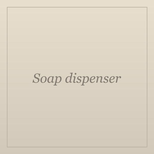 Soap dispenser