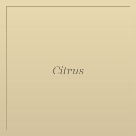 Fresh citrus